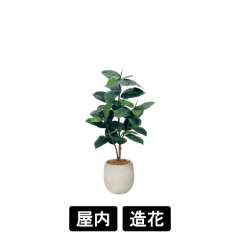 樹木プランター GR5101 H1250 ゴムの木