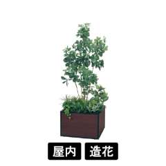 寄せ植えプランター GR5035 H1750 シェフレラ