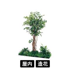 連接樹木 GM5708 H1800 450角3連 フィカスベンジャミン