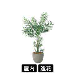 樹木プランター GR5094 H2050 アレカヤシ