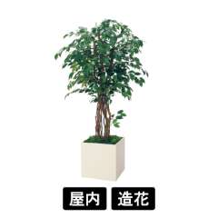 樹木プランター GR5108 H1900 フィカスベンジャミン