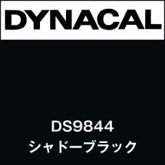 ダイナサイン　DS9844　シャドーブラック