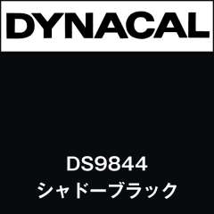 ダイナサイン DS9844 シャドーブラック