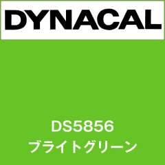 ダイナサイン　DS5856　ブライトグリーン