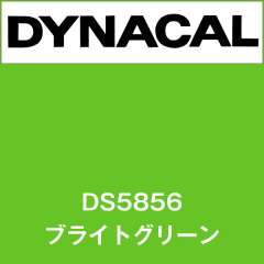 ダイナサイン DS5856 ブライトグリーン