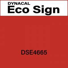 ダイナカルエコサイン　DSE4665