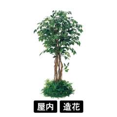 テーブル樹木 GR5141 H1800 530Ф フィカスベンジャミン