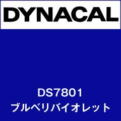 ダイナサイン　DS7801　ブルベリバイオレット
