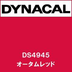 ダイナサイン DS4945 オータムレッド