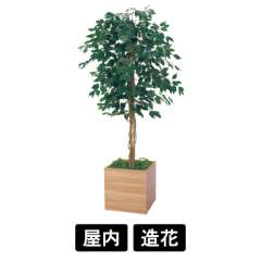 樹木プランター GR5110 H1900 フィカスベンジャミン