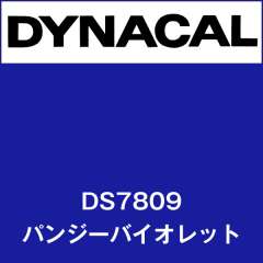 ダイナサイン　DS7809　パンジーバイオレット
