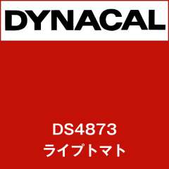 ダイナサイン　DS4873　ライプトマト