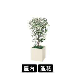 樹木プランター GR5106 H1550 ハワイアンベンジャミン