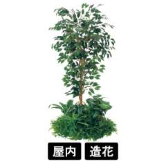 テーブル樹木 GR5144 H1500 600Ф フィカスベンジャミン