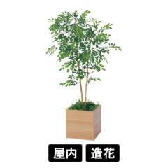 樹木プランター GR5112 H1250 トネリコ