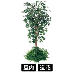 テーブル樹木 GR5136 H1500 450Ф フィカスベンジャミン