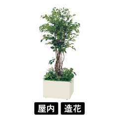 寄せ植えプランター GR5030 H2100 フィカスベンジャミン