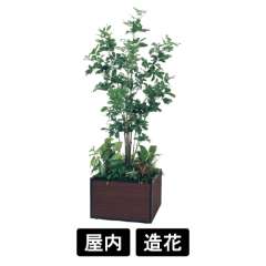 寄せ植えプランター GR5036 H2050 シェフレラ