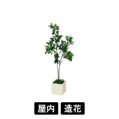 樹木プランター　GR5086