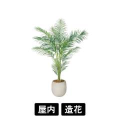 樹木プランター GR5104 H1550 アレカヤシ