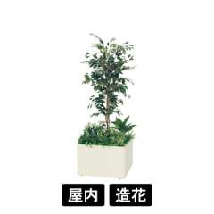 寄せ植えプランター GR5029 H1700 フィカスベンジャミン