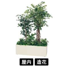 寄せ植えプランター GR5033 H2100 フィカスベンジャミン