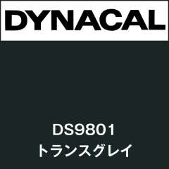 ダイナサイン　DS9801　トランスグレイ