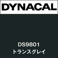 ダイナサイン DS9801 トランスグレイ