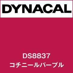 ダイナサイン DS8837 コチニールパープル