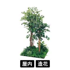 連接樹木 GM5710 H1800 450角4連 フィカスベンジャミン