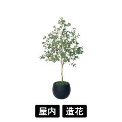 樹木プランター GR5098 H1800 ユーカリ