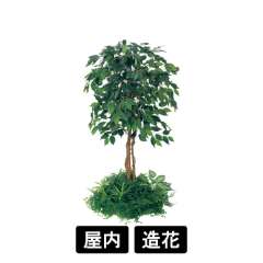 テーブル樹木 GR5135 H1200 450Ф フィカスベンジャミン