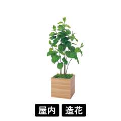 樹木プランター GR5109 H1600 ウンベラータ