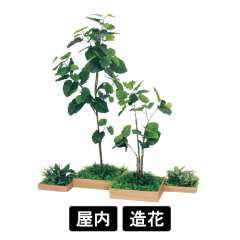 連接樹木 GM5701 H1800 4連 ウンベラータ