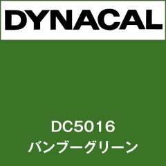 ダイナカル　DC5016　バンブーグリーン
