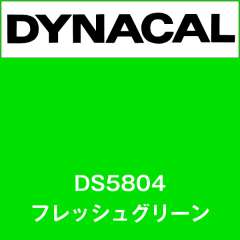 ダイナサイン DS5804 フレッシュグリーン