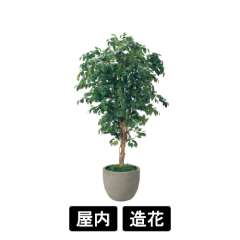 樹木プランター GR5092 H2100 フィカスベンジャミン