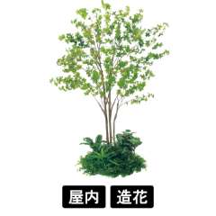 テーブル樹木 GR5146 H1900 600Ф ドウダン