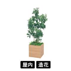 樹木プランター GR5009 H1700 シェフレラ