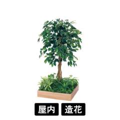 テーブル樹木 GR5125 H1200 530角 フィカスベンジャミン