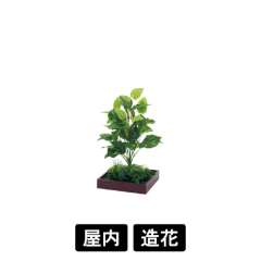 連接樹木 GR5081 H650 330角 