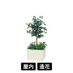 寄せ植えプランター GR5028 H1600 フィカスベンジャミン