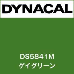 ダイナサイン DS5841M ゲイグリーン