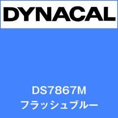 ダイナサイン DS7867M フラッシュブルー
