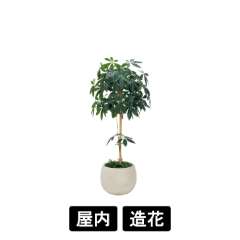 樹木プランター GR5071 H1600 パキラ