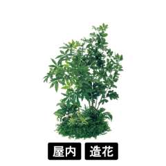 テーブル樹木 GR5147 H1500 600Ф パキラ&シェフレラ