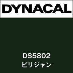 ダイナサイン　DS5802　ビリジャン