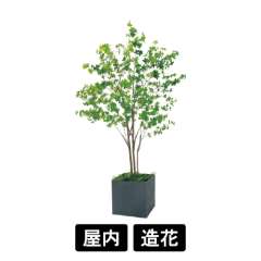 樹木プランター GR5095 H2100 ドウダン