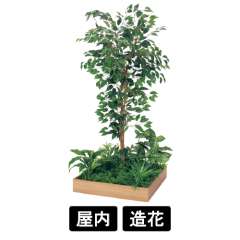 テーブル樹木 GR5130 H1500 600角 フィカスベンジャミン