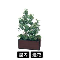 寄せ植えプランター GR5037 H1750 シェフレラ